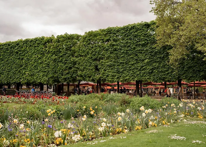 Edgar Louvre - Saint-honore * 파리